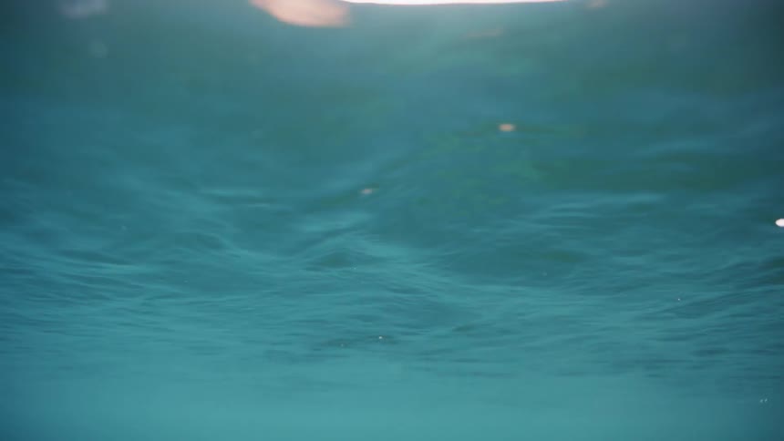 Ripples move on the surface of the water