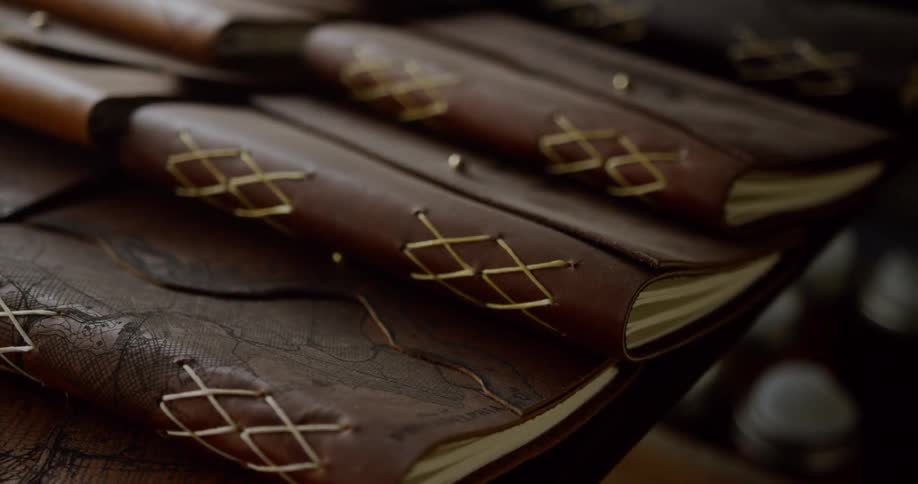 Leather bound notebooks sit lined up in rows