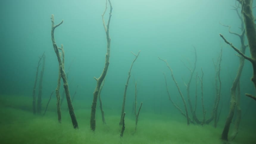 The bottom of the water is hazy