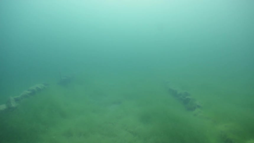 The green water is very foggy