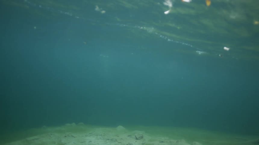Underwater is covered with sand and green