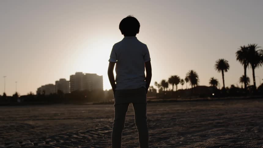 A child is standing on the beach watching the sunset
