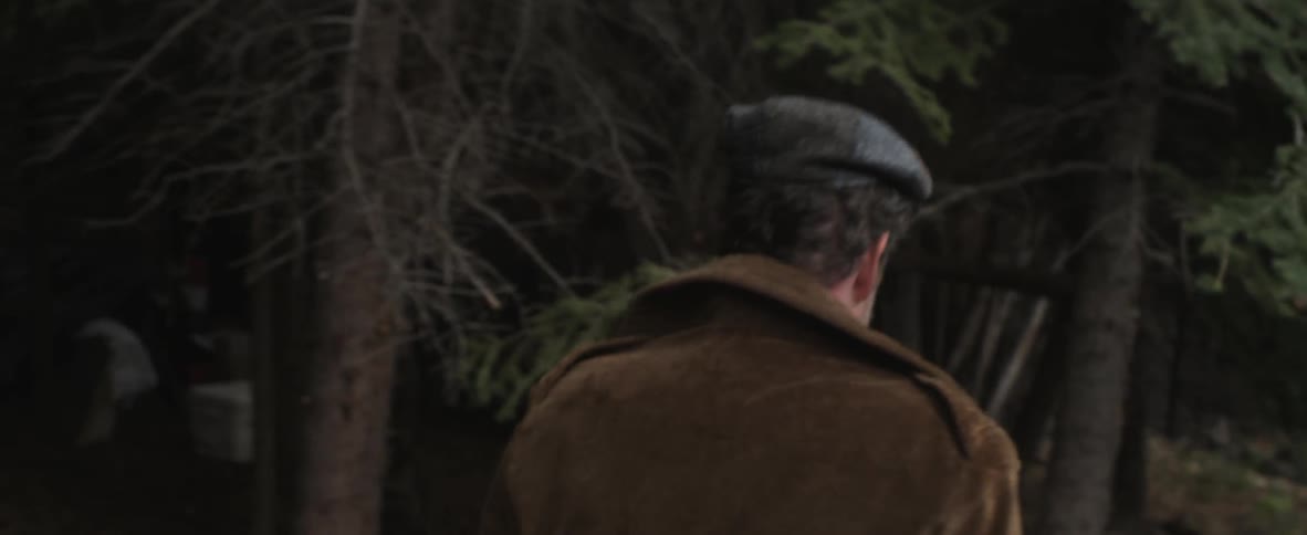 A person walking in the woods