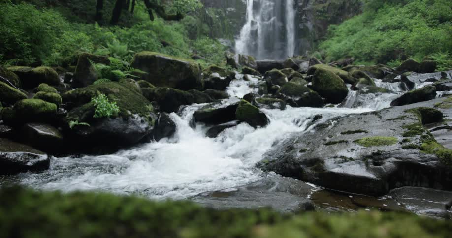 A creek flows from a waterfall in the forest