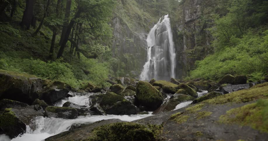 A cascade in a lush forest flows into a brook