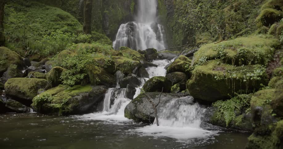 Static shot of a creek being fed by a cascade in a green forest