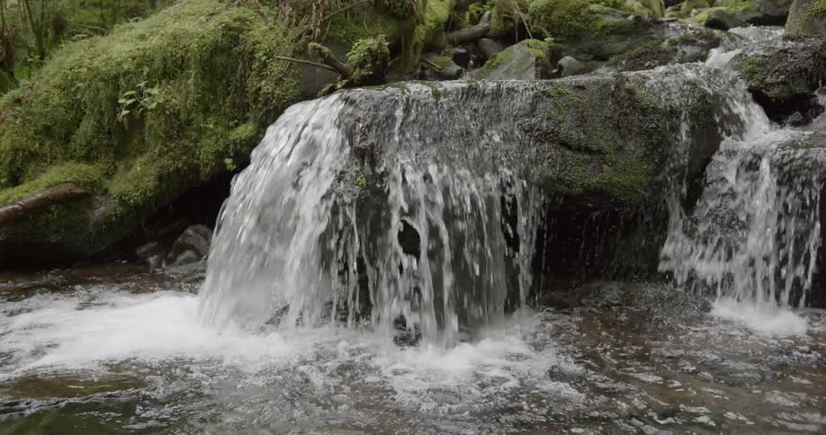 Water streams over rocks in a mossy forest