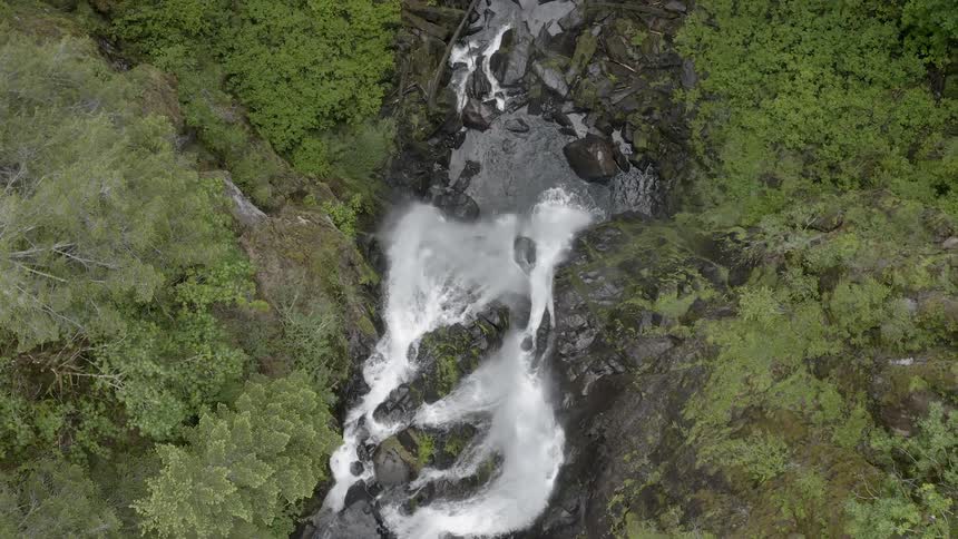 Birds-eye view of a waterfall in a flourishing forest flowing into a stream below