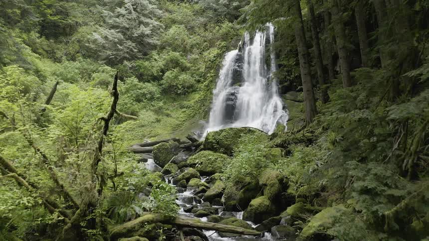 Push in shot of a cascade in a viridescent forest flowing into a rocky creek below