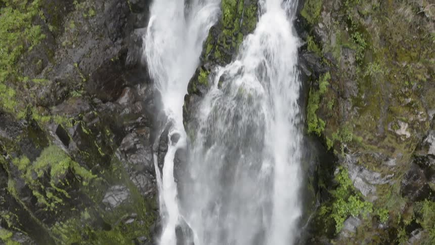 Reveal of a cascade flowing in a green forest