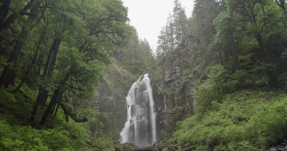 Wide shot of a cascade flowing in a green forest