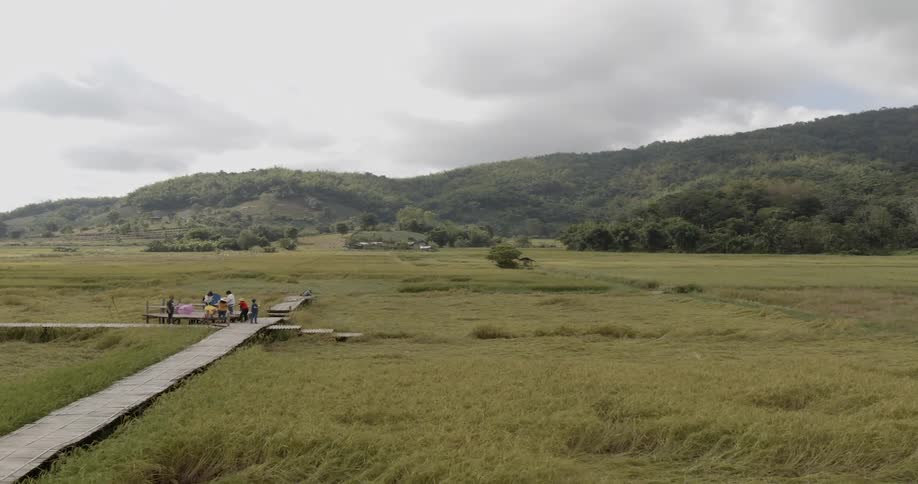 People gather by the water near the long green field