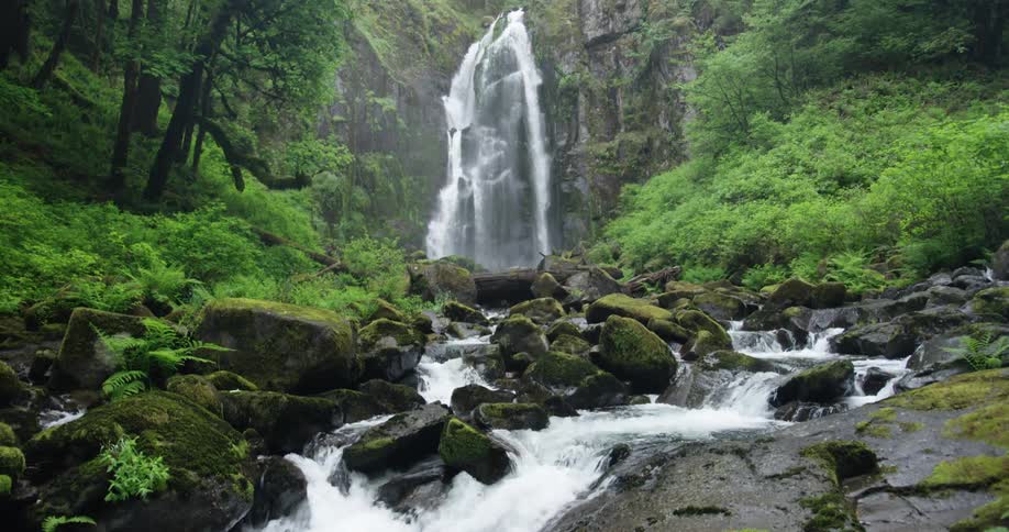 Reveal of a river flowing from a cascade in a forest