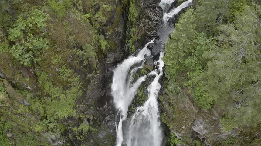 Flyover of a cascade in a green forest flowing into a creek below