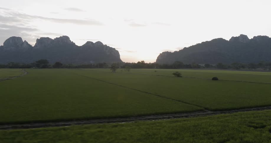The fields are long and green before the mountains