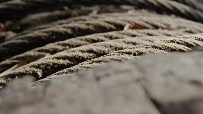 The ropes are all bunched together under the sun