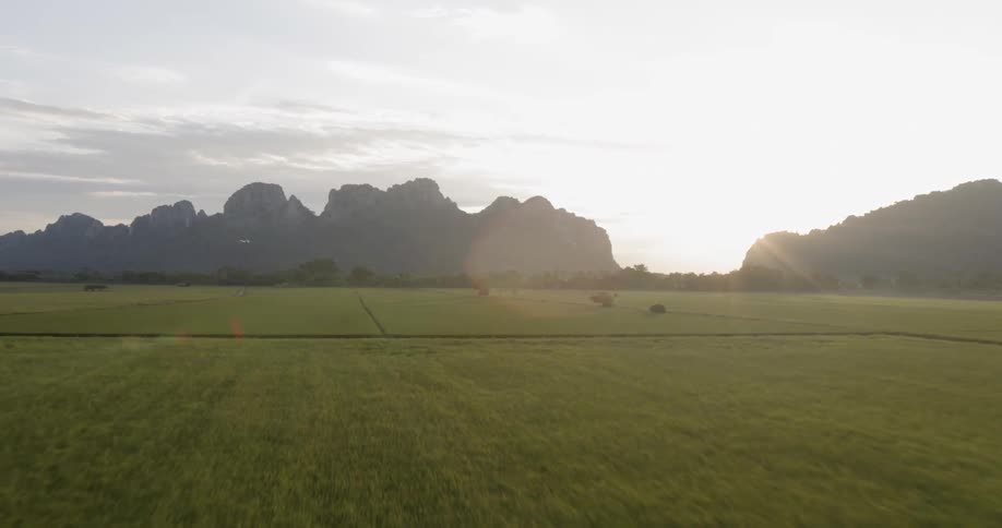 The sun shines on the grassy field
