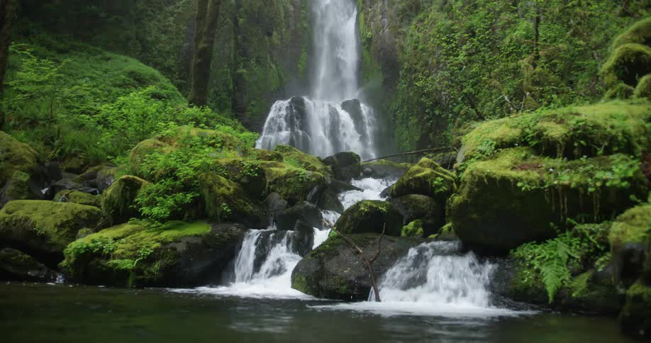 Static shot of a waterfall in a lush forest flowing into a brook 