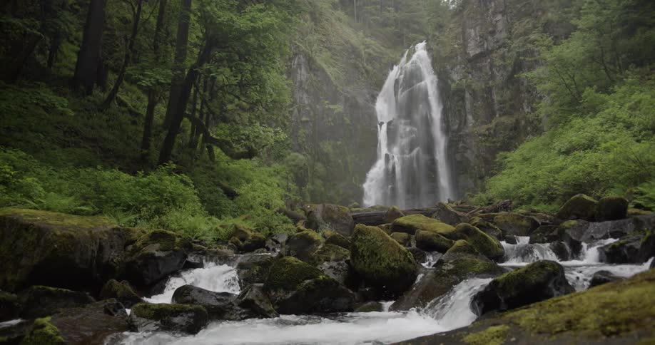 A waterfall in a lush forest flows into a stream 