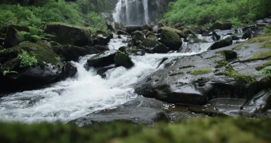 Push in of a brook flowing from a waterfall in a forest