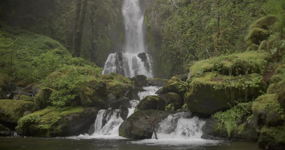 A cascade in a teeming forest flows into a stream below