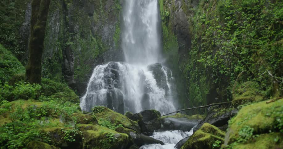Reveal of creek flowing from a waterfall in a forest
