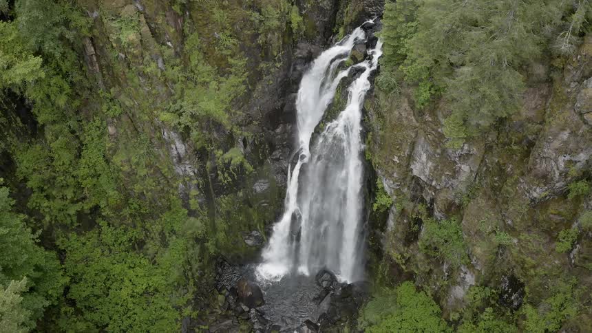 Static shot of a waterfall in a lush forest falling into a creek below