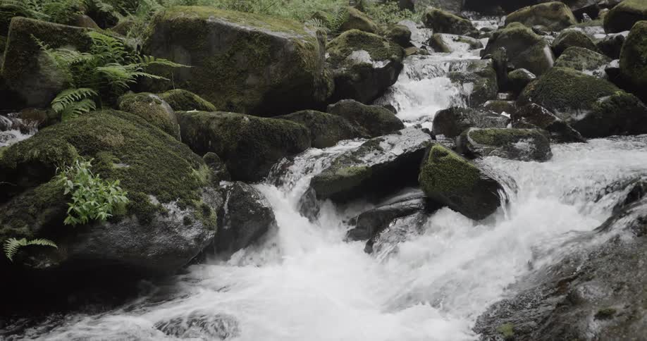 A stream flows over and around mossy rocks and boulders