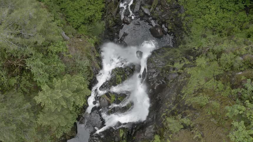 Aerial shot of a waterfall in a green forest flowing into a stream below