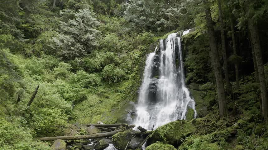 Pull out shot of a waterfall in green forest rushing over a cliff into a creek below