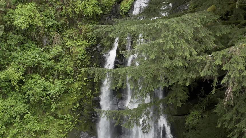 Orbiting shot of a cascade in a green forest falling over a cliff