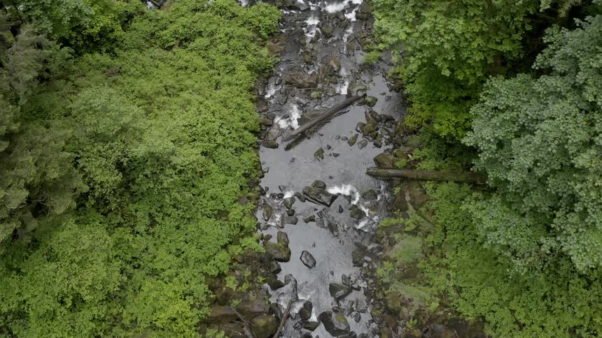Aerial shot of a rocky brook flowing through a flourishing forest
