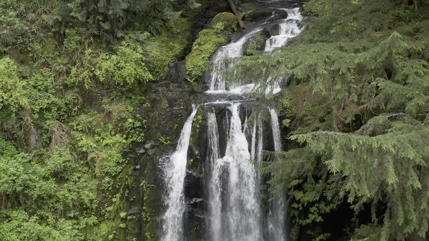 Orbiting shot of a cascade in a lush forest falling over a cliff