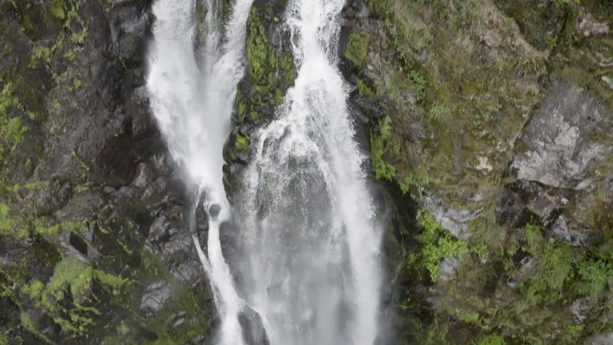 Tilt down shot revealing a stream being fed by a waterfall in a green forest