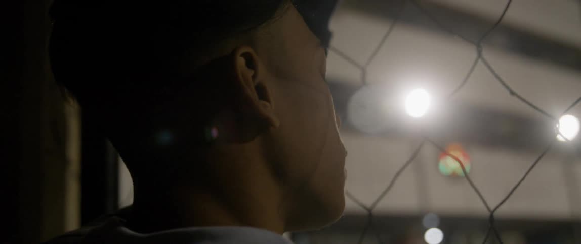 A man looks through the chain link fence
