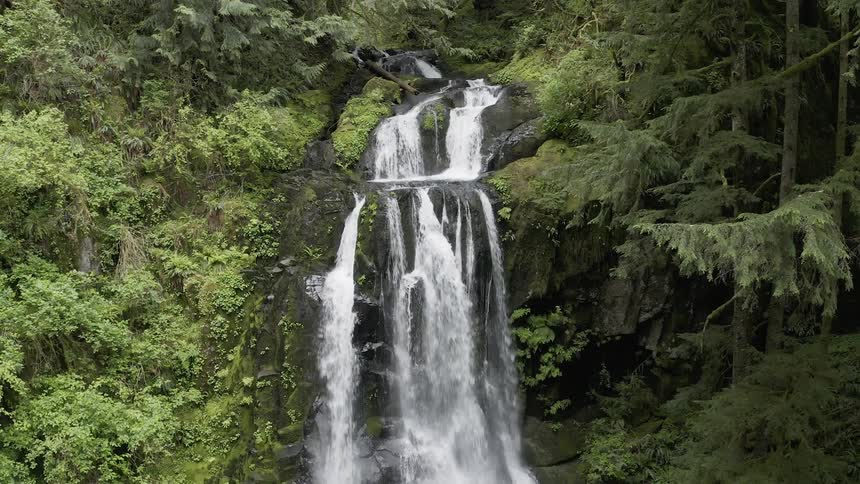 Tilt down shot of a waterfall in a green forest rushing over a cliff 