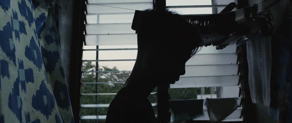 Boy stands next to a window