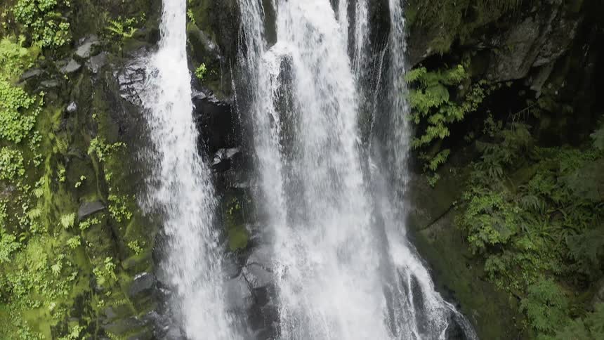 Tilt down reveal of the base of a waterfall in a lush forest