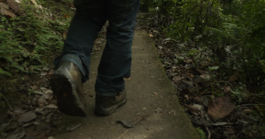 Person walks on a small path in the woods