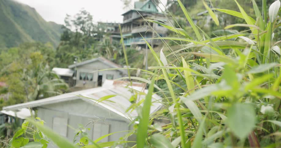 Grass grows near houses in mountains