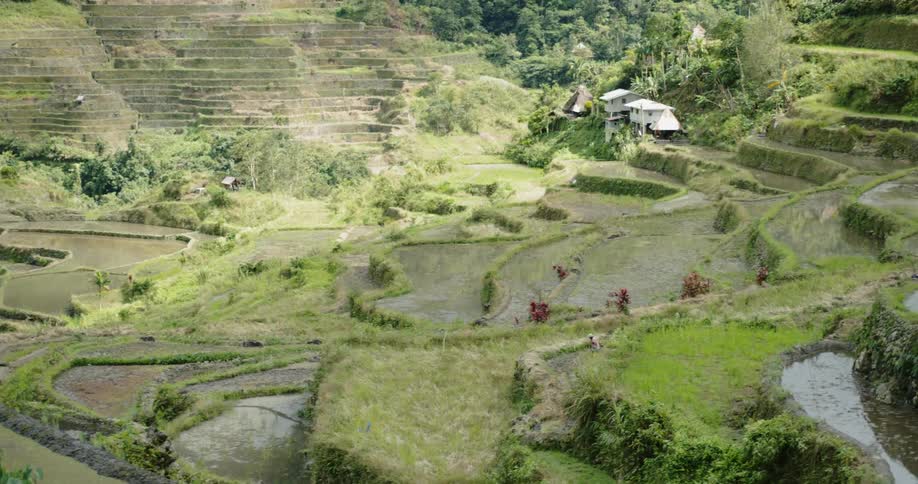 The green hills have some houses spread apart