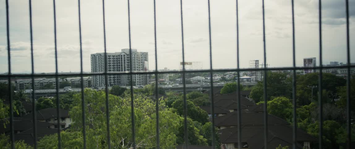 A city and highway and buildings through bars on a window or railing