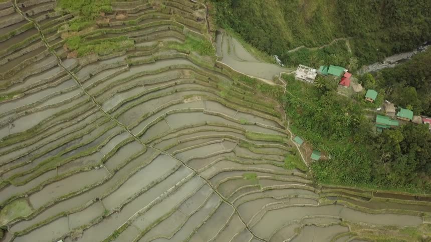 The fields are covered with green with houses near the cliff