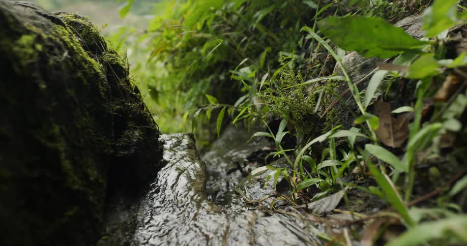 The water rushes past the grass and rocks