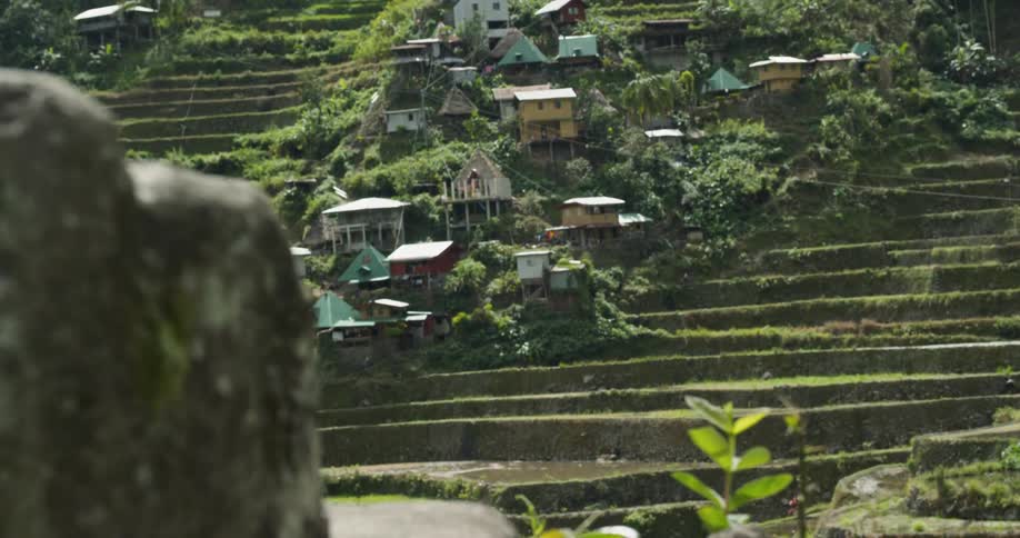 The steps are covered with green and houses
