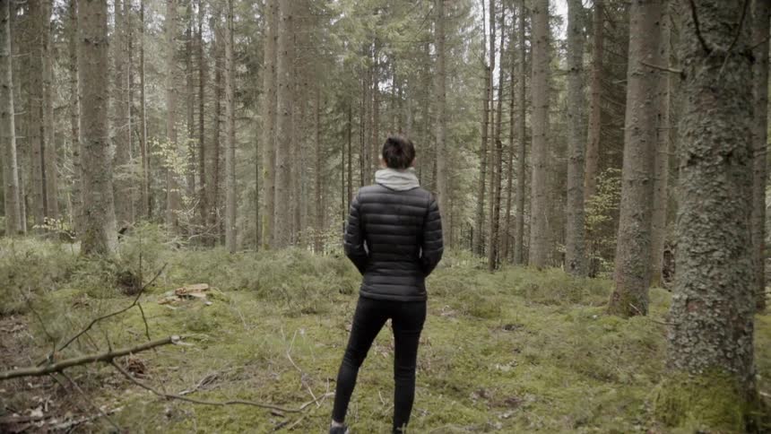 A woman stands watching a large forest ahead