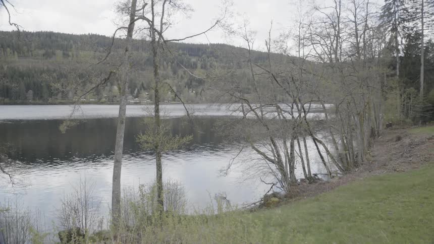 A lake is rippling near the shoreline on a cloudy day