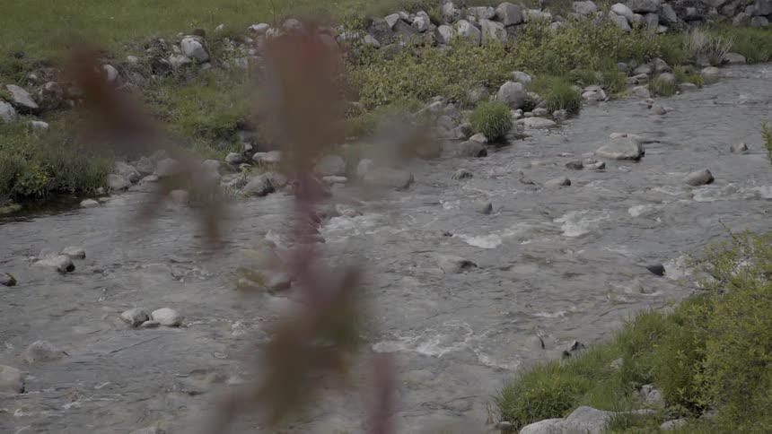 Water flows over rocks in a stream