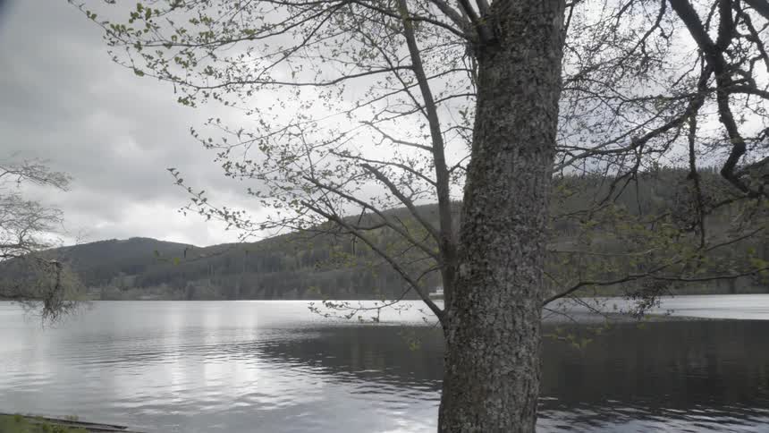 Water ripples in the lake near a cottage