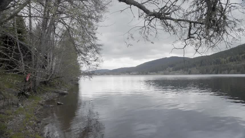 The water is calm in the lake on a cloudy day